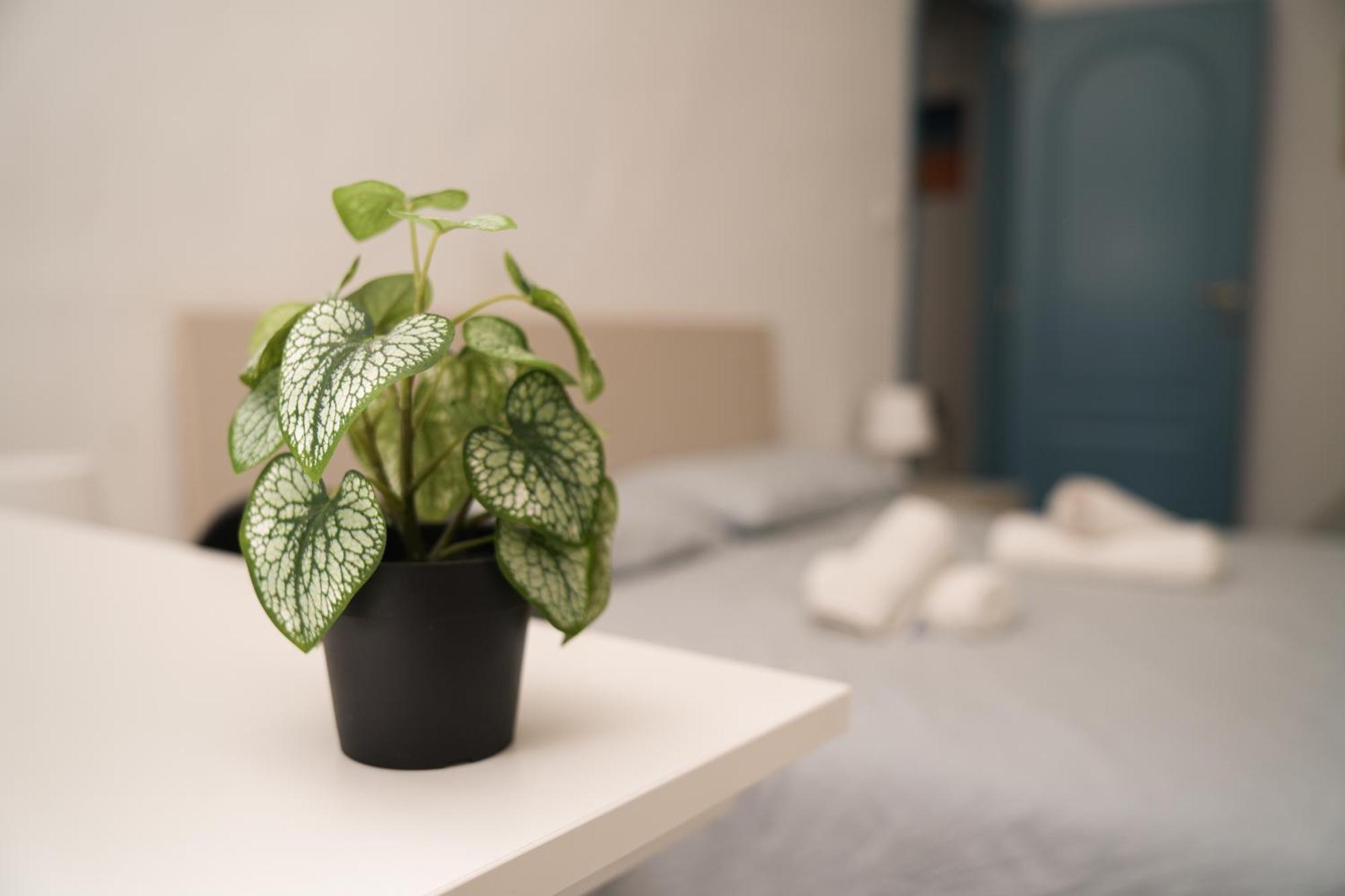 Apartament Camyhouse Turyn Zewnętrze zdjęcie