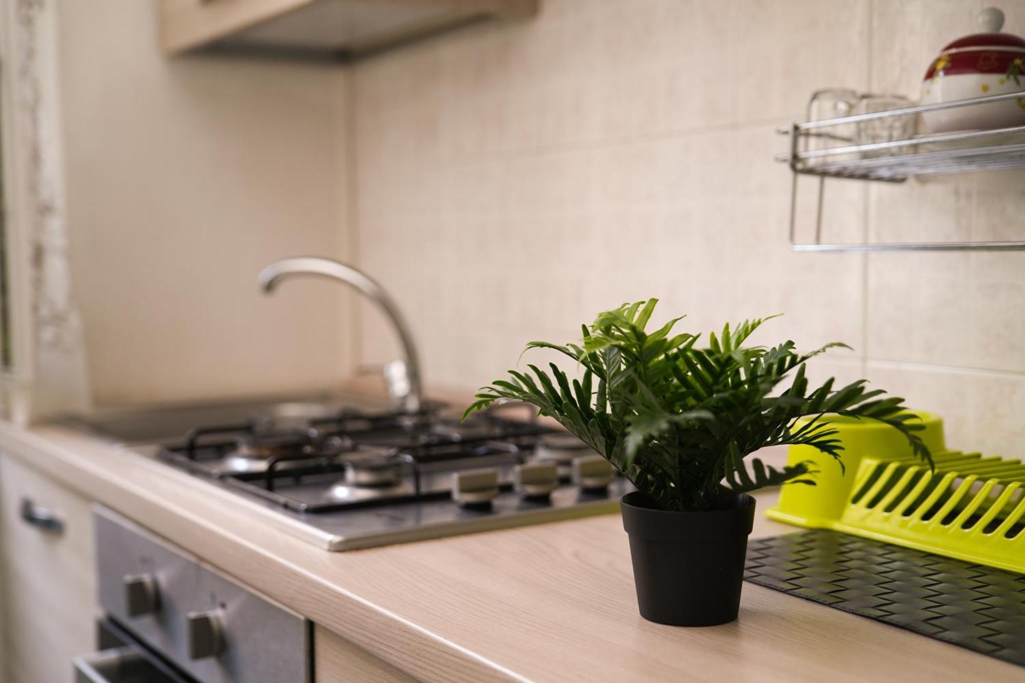 Apartament Camyhouse Turyn Zewnętrze zdjęcie